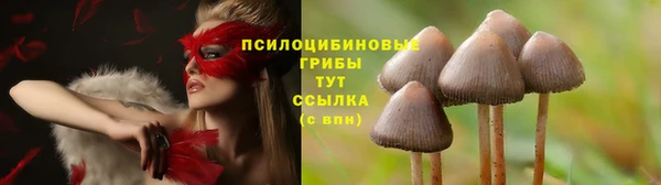кокаин колумбия Каменка