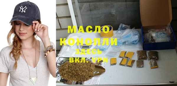 индика Ижевск