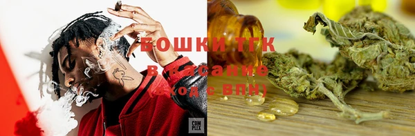 сатива Шали